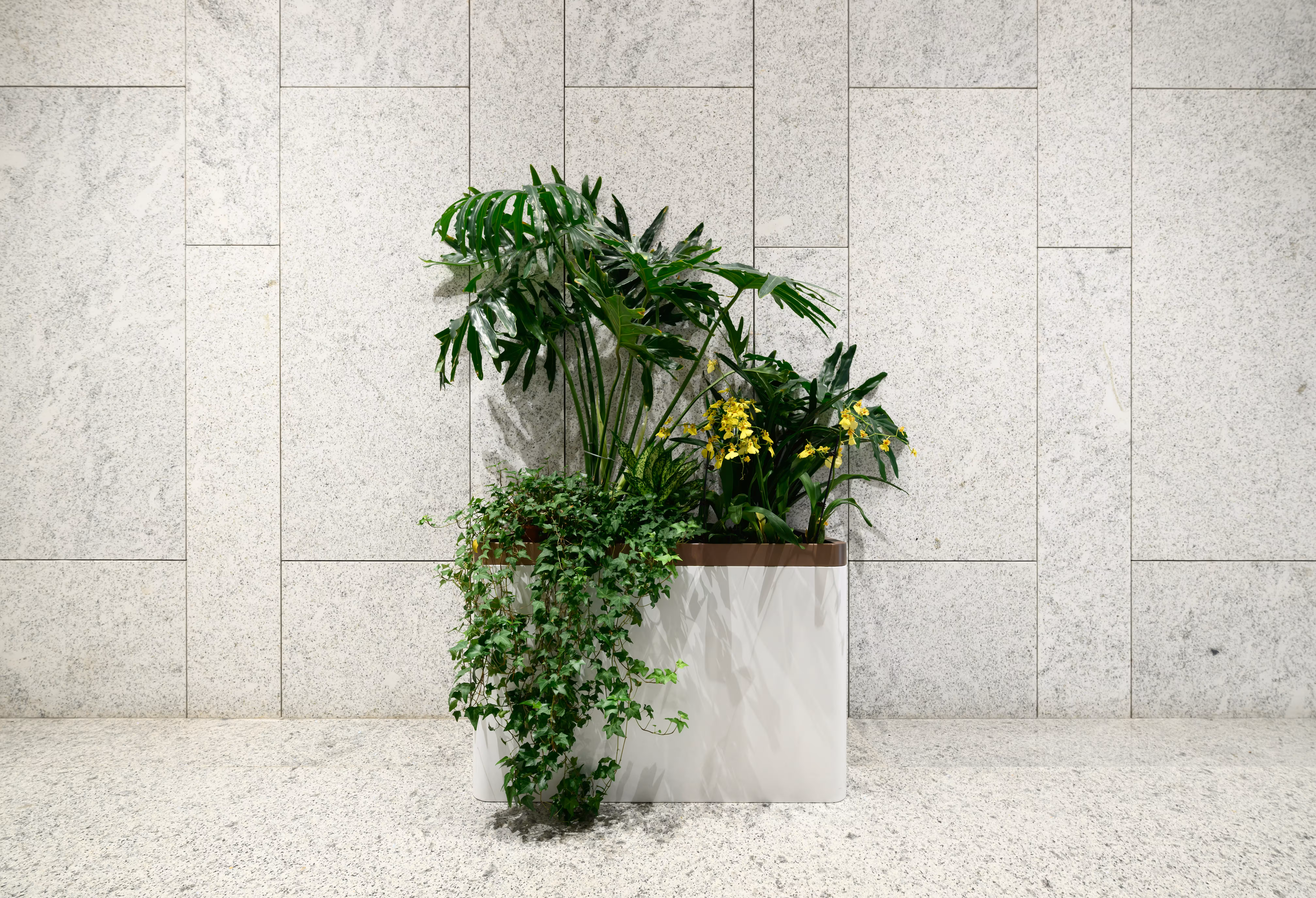 Luxury marble and natural stone interior